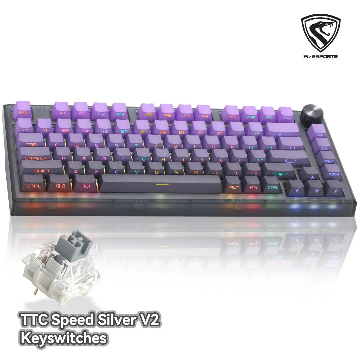 F.L Esports Mechanical Gaming Keyboard 82 Keys RGB, 80% TKL Wired Gasket Keyboard DIY Kit with Hot-Swap Switch Sockets (5-Pin) & Customizable Software Supported, Bluetooth Wireless Wired 3Modes, MK750