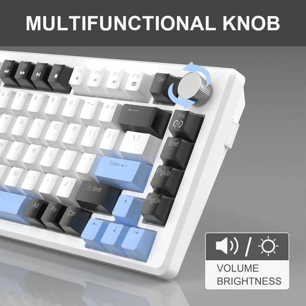 Mechanical Gaming Keyboard, 75% Compact Blue Backlit Wired Gaming Keyboard with Red/Brown Switches, Portable NKRO PC Gaming Keyboard